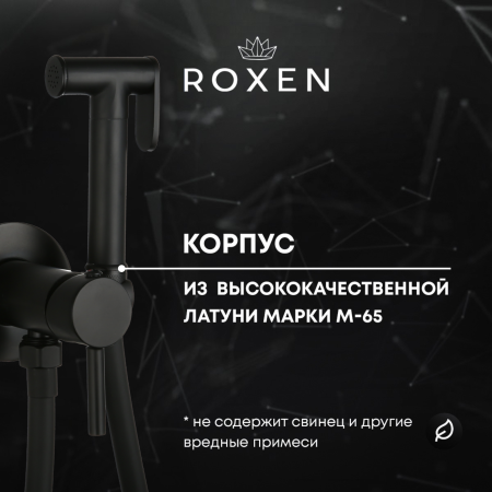 Гигиенический душ с лейкой RoxenBath Santi 50094000-B