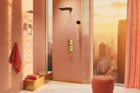 Настенная розетка с обратным клапаном Hansgrohe FixFit Fine E 28883990. полированное золото 28883990