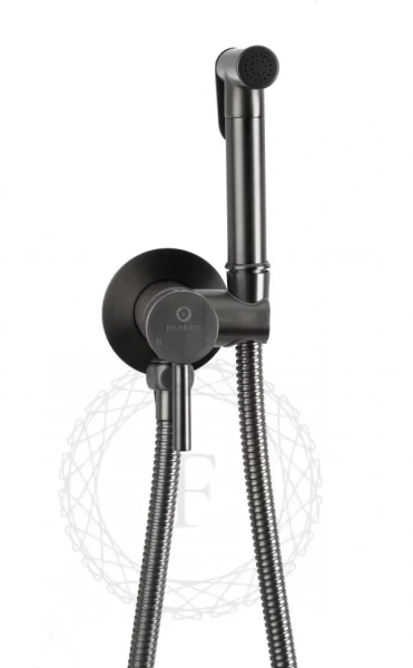 Смеситель встраиваемый с гигиеническим душем FILARETE Roun FL100 Графит