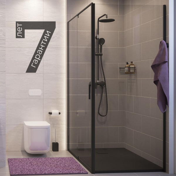 Душевая стенка WasserKRAFT Elbe 74P06-RP80 / Dill 61S06-RP80 80 74P06-RP80 / Dill 61S06-RP80