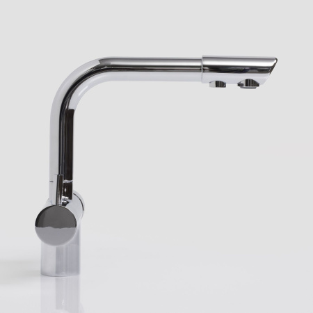 Смеситель для кухонной мойки WasserKRAFT A8017