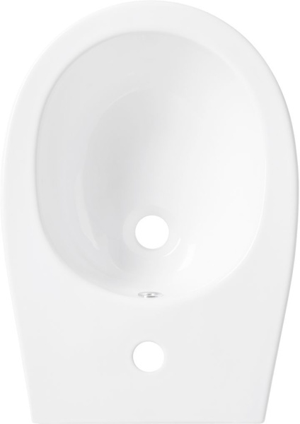 Биде подвесное Allen Brau Fantasy 4.11006.20 белый глянец