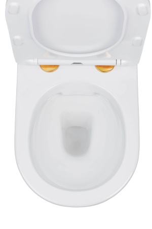 Комплект 6 в 1 RoxenBath StounFix Dual Fresh 968092  (состоит из: 710200, Santi 410260G, 530110-01G)