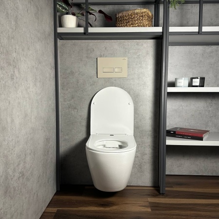 Кнопка для инсталляции RoxenBath Caspia 410280BG