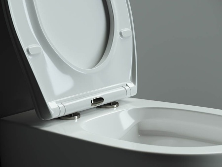 Подвесной унитаз Ceramicanova PEARL (безободковый), белый, CN8001