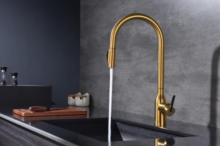 Смеситель для кухни UNIVERSAL, брашированное золото, Un213880-BG, Paulmark