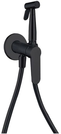 Смеситель с гигиеническим душем Aquanet Passion AF300-52B (с внутренней частью)