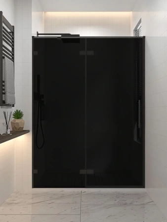 Душевая дверь распашная Veconi Premium Alassio BB, 1200х2000, черный матовый, стекло черное