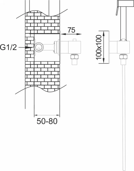 Смеситель с гигиеническим душем Rose R965