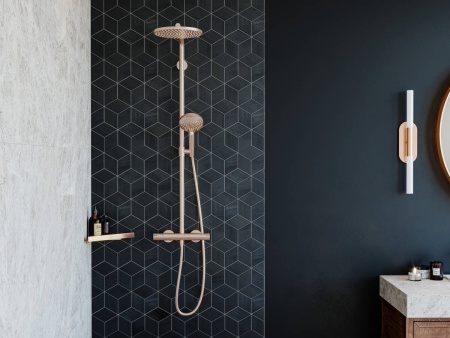 Hansgrohe AddStoris Угловая корзинка черный матовый 41741670