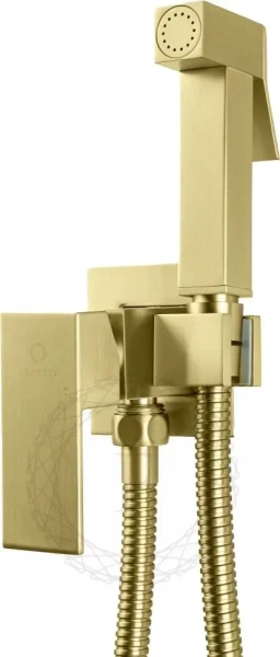 Смеситель встраиваемый с гигиеническим душем FILARETE Fing FL101 Золото матовое