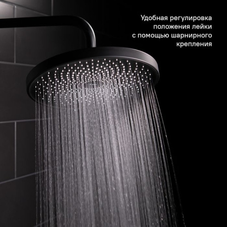 Душевая насадка IDDIS SpaHome верхняя круглая черная SPA26BPi64
