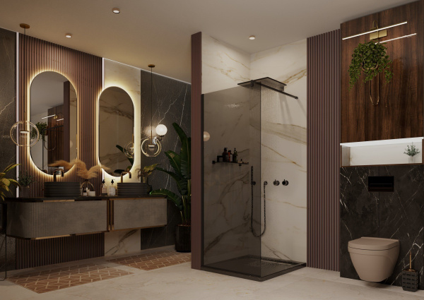 Душевая перегородка Ambassador Walk-in 15032223 900x2000