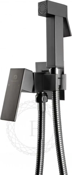 Смеситель встраиваемый с гигиеническим душем FILARETE Fing FL101 Графит