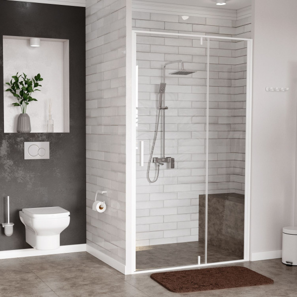 Душевая дверь WasserKRAFT Neime 19P04