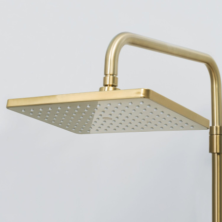 Душевой комплект WasserKRAFT Aisch A15501