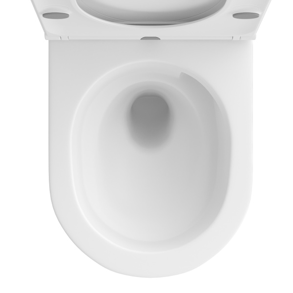 Безободковый подвесной унитаз в наборе 2 в 1: чаша подвесного унитаза, быстросъемное сиденье микролифт, цвет матовый белый Wellsee Chalice Perfection 182608001