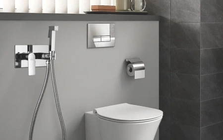 Смеситель с гигиеническим душем Rose R255