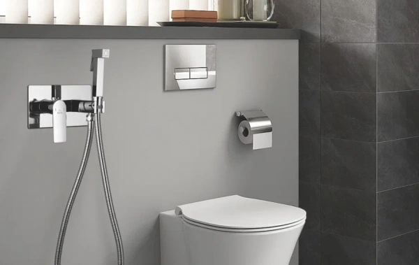 Смеситель с гигиеническим душем Rose R255