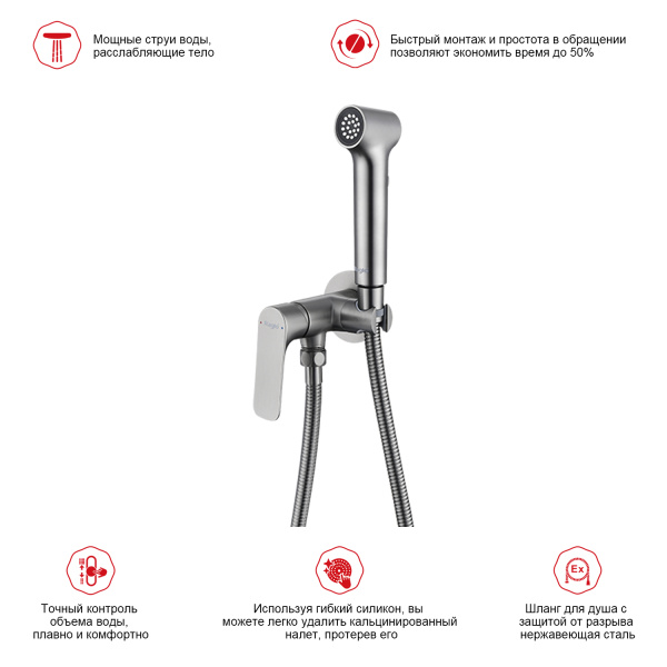 Гигиенический душ со смесителем Raglo R03.52.09, графит