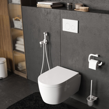 Система инсталляции для унитазов WasserKRAFT Dinkel 58TLT.010.ME.WM02