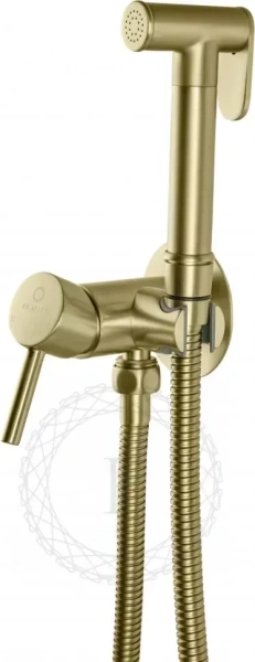 Смеситель встраиваемый с гигиеническим душем FILARETE Roun FL100 Золото матовое