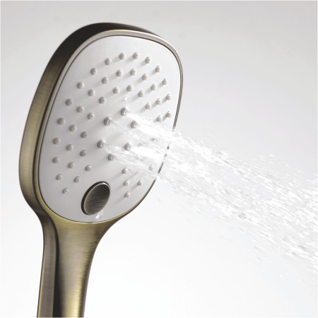 Лейка для душа WasserKRAFT Exter A050