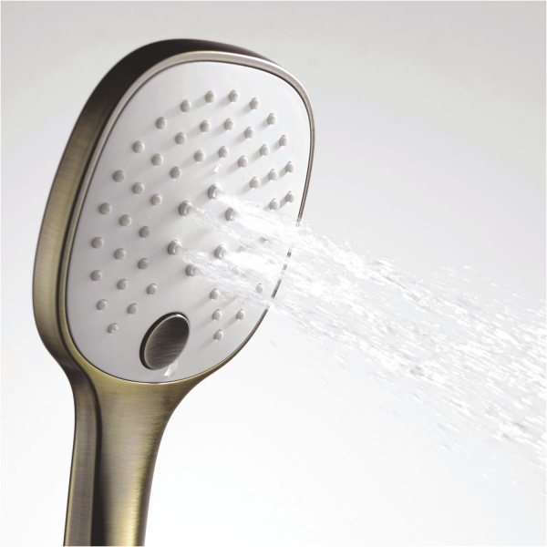 Лейка для душа WasserKRAFT Exter A050
