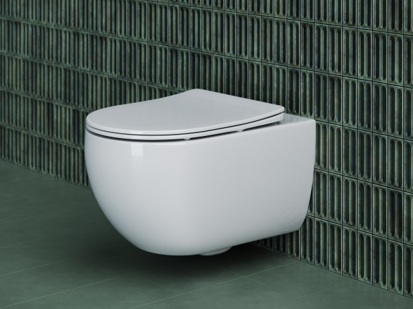 Подвесной унитаз Ceramicanova Long Rimless, глубокий смыв, с крепежом для полностью скрытого монтажа,  ультратонким сидением и крышкой с функцией плавного закрытия, дюропласт CN3015