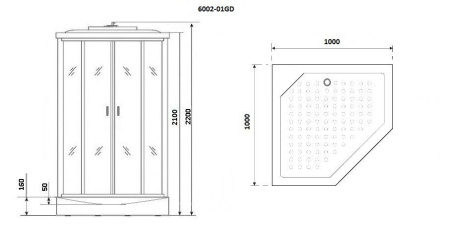 Душевая кабина Niagara Premium NG-6002-01GD 100х100х220, низкий поддон 16 см, стекло прозрачное