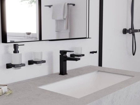 Hansgrohe AddStoris Двойной крючок для полотенец хром 41755000