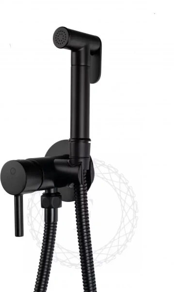 Смеситель встраиваемый с гигиеническим душем FILARETE Roun FL100 Черный матовый