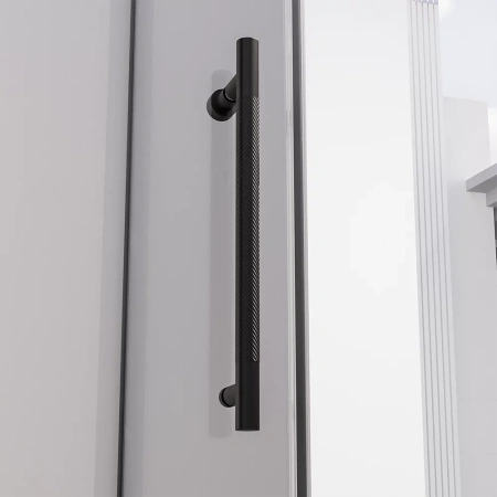 Душевая дверь распашная Veconi Premium Alassio B, 1200х2000, черный матовый, стекло прозрачное осветленное