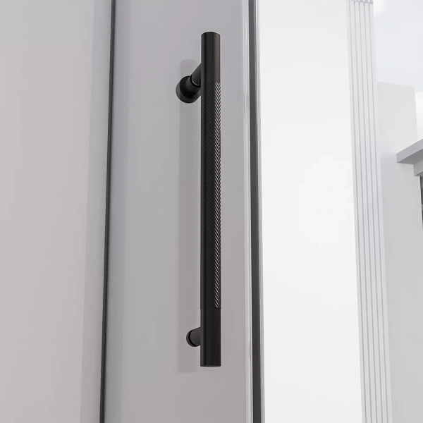 Душевая дверь распашная Veconi Premium Alassio B, 1500х2000, черный матовый, стекло прозрачное осветленное