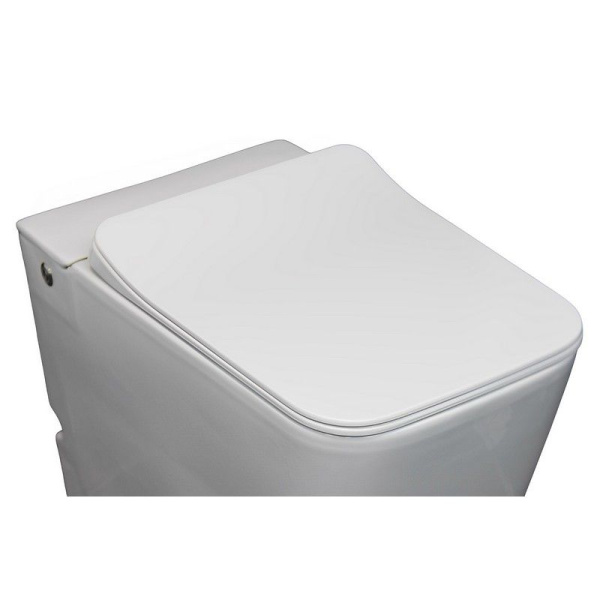 Сидение DISGRAZIA, DISGRAZIA Aria дюропласт микролифтом и креплениями Cerutti SPA CT7849