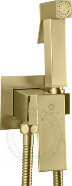 Смеситель встраиваемый с гигиеническим душем FILARETE Fing FL101 Золото матовое