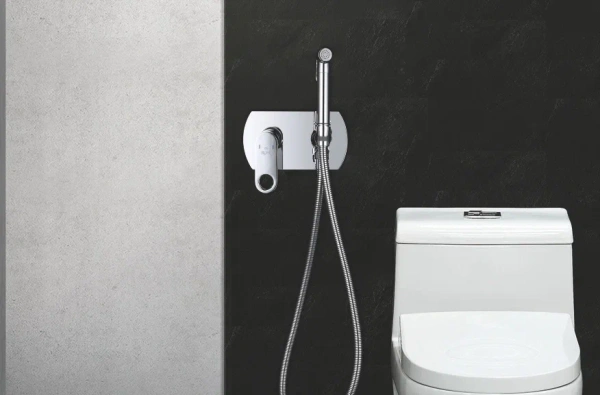 Смеситель с гигиеническим душем Rose R205