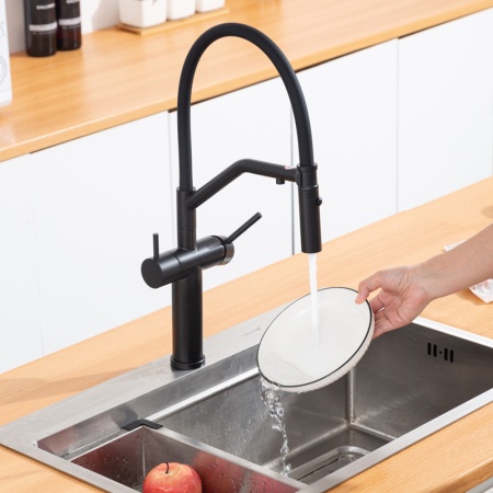 Смеситель для кухни с гибким изливом и подключением фильтра GAPPO G4399-86, черный