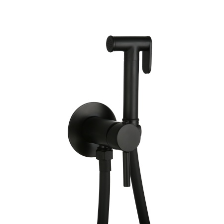 Смеситель встраиваемый RoxenBath Santi 500940-B с гигиеническим душем