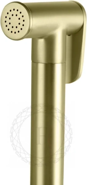 Смеситель встраиваемый с гигиеническим душем FILARETE Roun FL100 Золото матовое