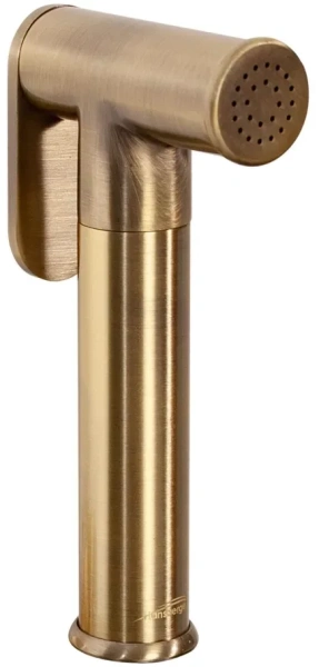 Смеситель встраиваемый с гигиеническим душем Hansberge H3099 Бронза