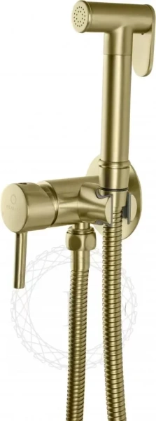 Смеситель встраиваемый с гигиеническим душем FILARETE Roun FL100 Золото матовое