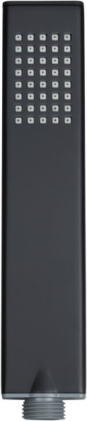 Душевая лейка Allen Brau Infinity 5.21022-31 черный матовый