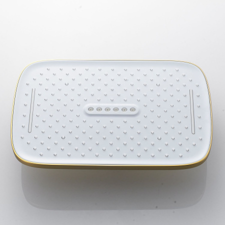 Душевая система Shevanik S4036G, золотой сатин