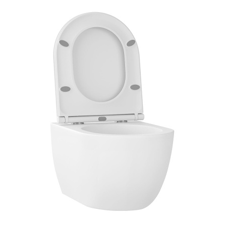 Безободковый подвесной унитаз в наборе 2 в 1: чаша подвесного унитаза, быстросъемное сиденье микролифт, цвет матовый белый Wellsee Chalice Perfection 182608001