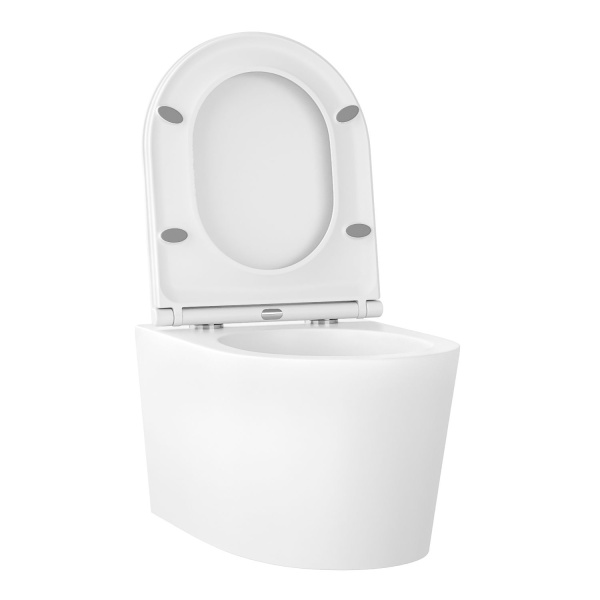 Безободковый подвесной унитаз в наборе 2 в 1: чаша подвесного унитаза, быстросъемное сиденье микролифт, цвет глянцевый белый Wellsee Éclatant 182615001