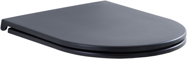 Сиденье для унитаза Aquanet Lake черный матовый