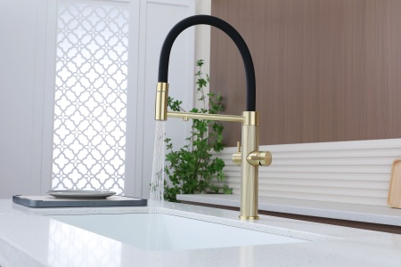 Смеситель для кухни NEXUS DIAMOND, светлое золото, Nd613999-LG, Paulmark-Starke