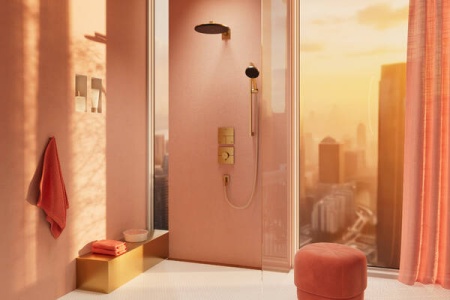Настенная розетка с обратным клапаном Hansgrohe FixFit Fine E 28883140. матовая бронза 28883140