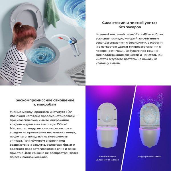 Безободковый подвесной унитаз в наборе 2 в 1: чаша подвесного унитаза, быстросъемное сиденье микролифт, цвет матовый серый Wellsee Croquis 182614001